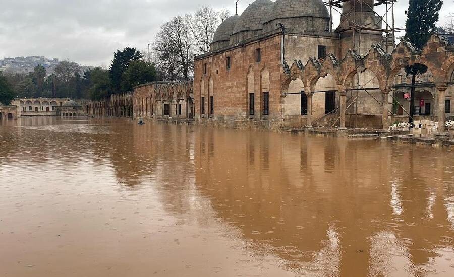 Yaşan sel felaketinin ardından Balıklıgöl'ün balıklarına ne oldu?