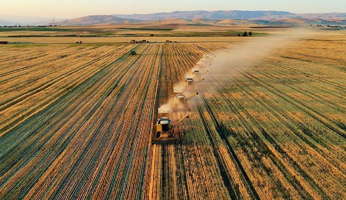 Çiftçilere bugün 115 milyon 508 bin 658 ödenecek