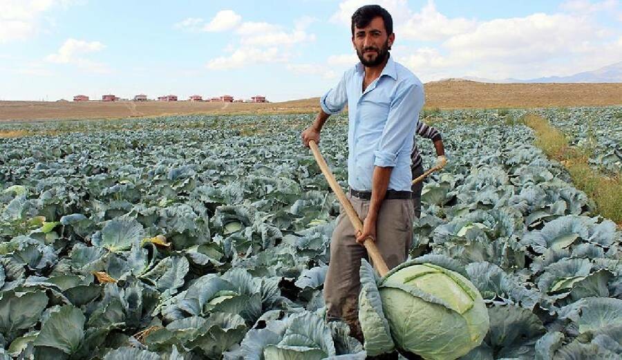 Üretici ve market arasındaki fiyat farkı 4,4 kata kadar ulaştı Üretici ve market arasındaki fiyat farkı 4,4 kata kadar ulaştı