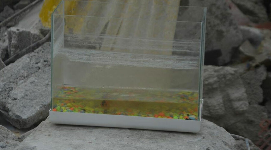 Depremden 44 gün sonra evine girdi, gördüğü manzara karşısında tüyleri diken diken oldu