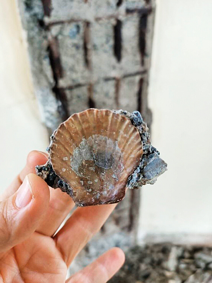 Kız Kulesi restorasyondan önce tehlike altındaydı