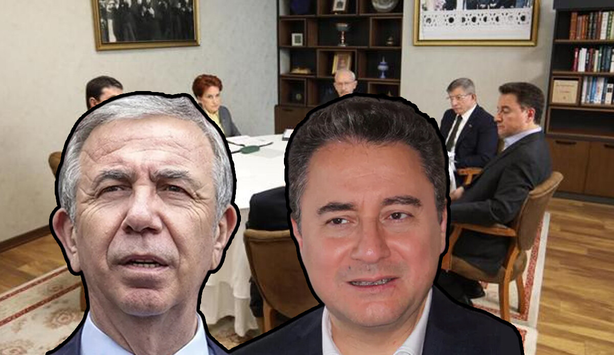 DEVA Partisi Lideri Babacan, Mansur Yavaş'ın önerisine resti çekti: Kazak sökülür! DEVA Partisi Lideri Babacan, Mansur Yavaş'ın önerisine resti çekti: Kazak sökülür!