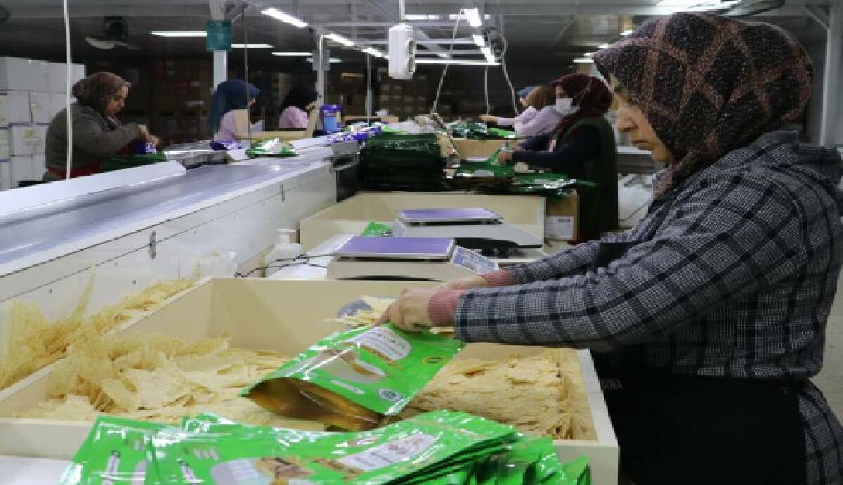 Maraş tarhana üreticileri depremin izlerini silmeye çalışıyor