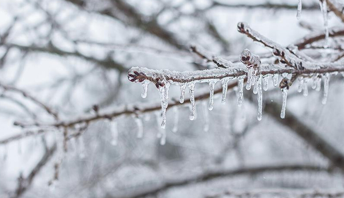 Meteoroloji'den don uyarısı! Sarı alarm verildi Meteoroloji'den don uyarısı! Sarı alarm verildi