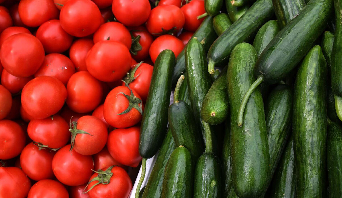 Uzmanlardan kritik açıklama! Domates ve salatalıkların ilaçlı olup olmadıklarını anlayabilirsiniz! Beyaz çizgilere dikkat