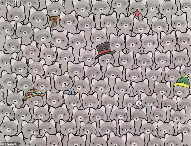 15 saniyeniz var! Resimdeki kediyi bulan ‘cingöz’ kabul ediliyor 15 saniyeniz var! Resimdeki kediyi bulan ‘cingöz’ kabul ediliyor