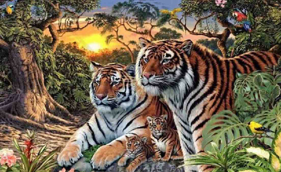 Süreniz 45 saniye! Kaç tane kaplan görüyorsun? Bakanların sadece yüzde biri tam sayıyor Süreniz 45 saniye! Kaç tane kaplan görüyorsun? Bakanların sadece yüzde biri tam sayıyor