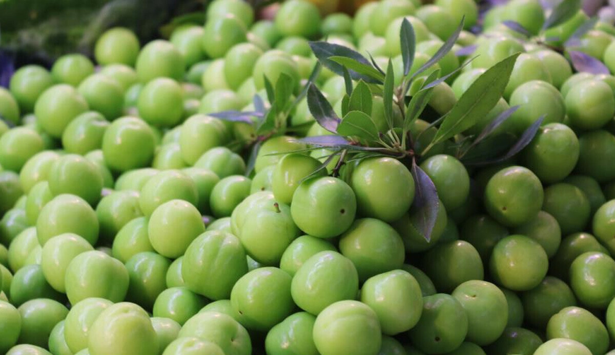 Kütür kütür lezzetli erikler tezgahlara çıktı! Fiyatı etle yarışıyor,  canı çeken tane tane alıyor: Ucuzlayacağı tarih ise pek yakın