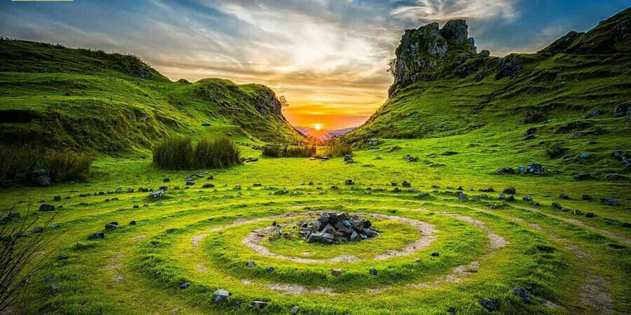 Süre: 7 saniye! Keskin bakışlı kurdu bulan görsel zekasını ispatlıyor