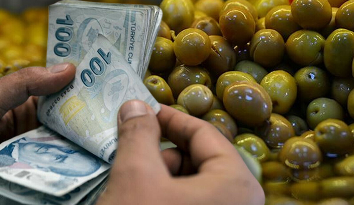 Zeytin üreticilerine milyonlarca lira ödeme! Çifte bayram için tarih verildi: On binlercesine can suyu olacak