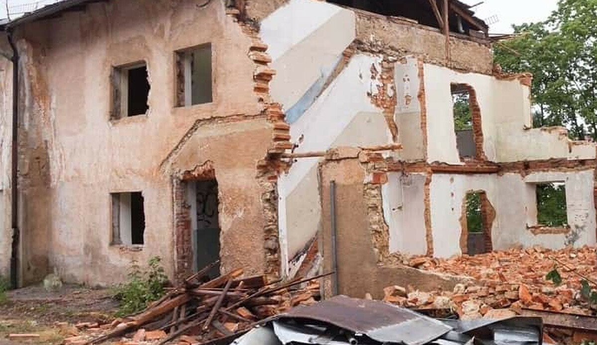 Süre: 6 saniye! Resimdeki tavşanı bulan süper zeki sayılıyor