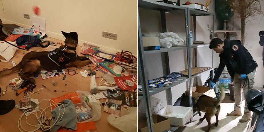 Kırmızı bültenle aranırken Sarıyer’de yakalanmıştı! Urfi Çetinkaya operasyonunda ‘fizyoterapist’ detayı Kırmızı bültenle aranırken Sarıyer’de yakalanmıştı! Urfi Çetinkaya operasyonunda ‘fizyoterapist’ detayı