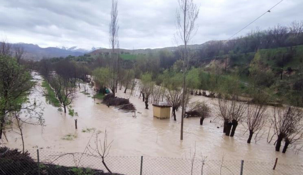 Bu yıl ikinci kez yaşanıyor! Yoğun yağış nedeni ile çay taştı: Bağ evleri ve araziler su altında kaldı