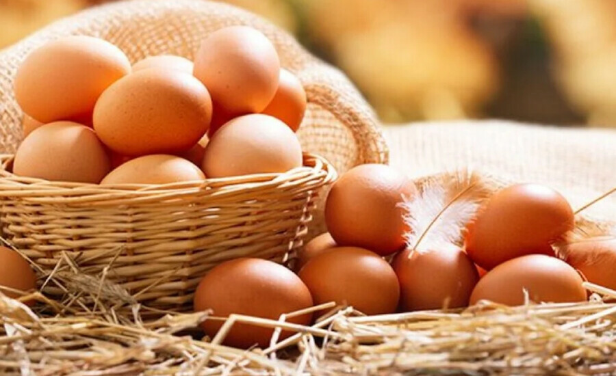 Bu detayı kimse bilmiyor: Yumurtaların farklı renkte olmasının asıl sebebi...