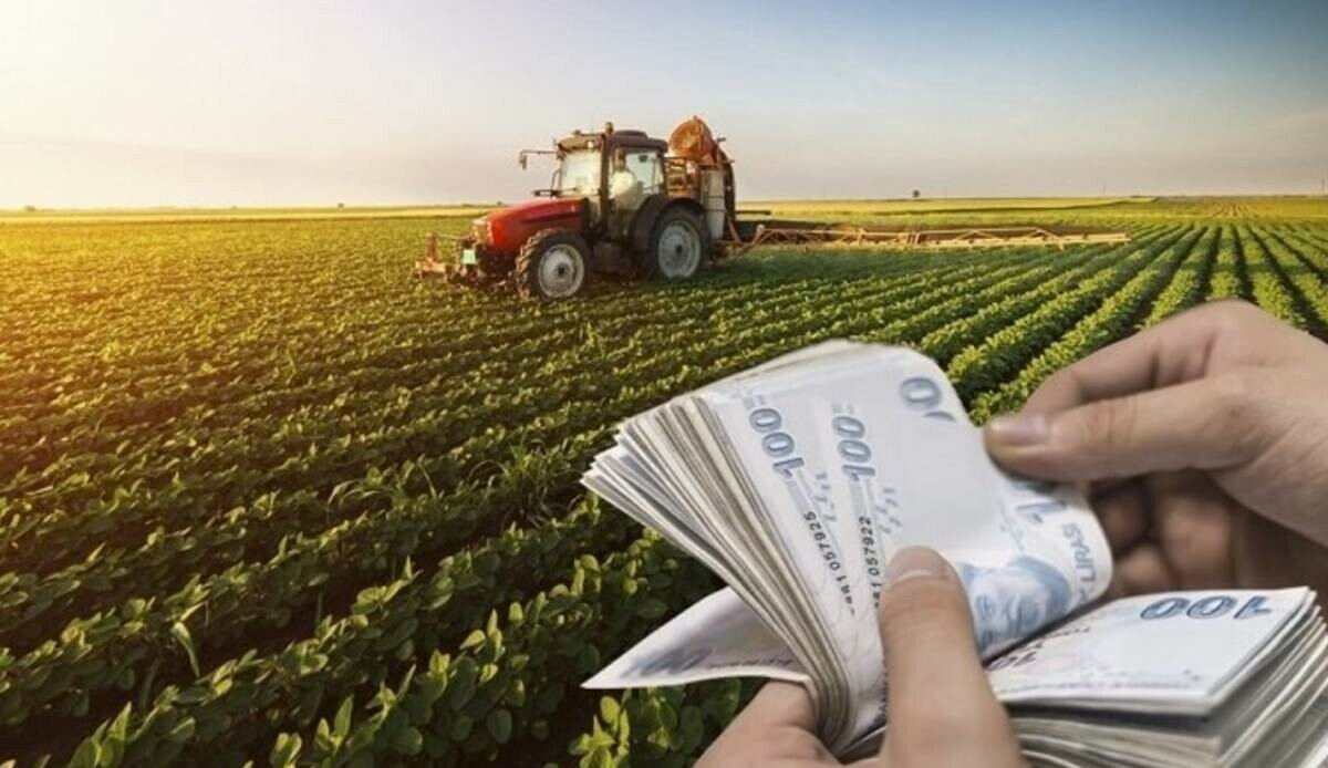 Çiftçilere müjdeli haber! Tarımsal destek ödemeleri bugün hesaplara yatıyor Çiftçilere müjdeli haber! Tarımsal destek ödemeleri bugün hesaplara yatıyor
