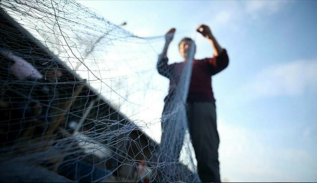 Taze balık sezonu bitti, denizlerde avlanmak 5 ay boyunca yasak olacak Taze balık sezonu bitti, denizlerde avlanmak 5 ay boyunca yasak olacak
