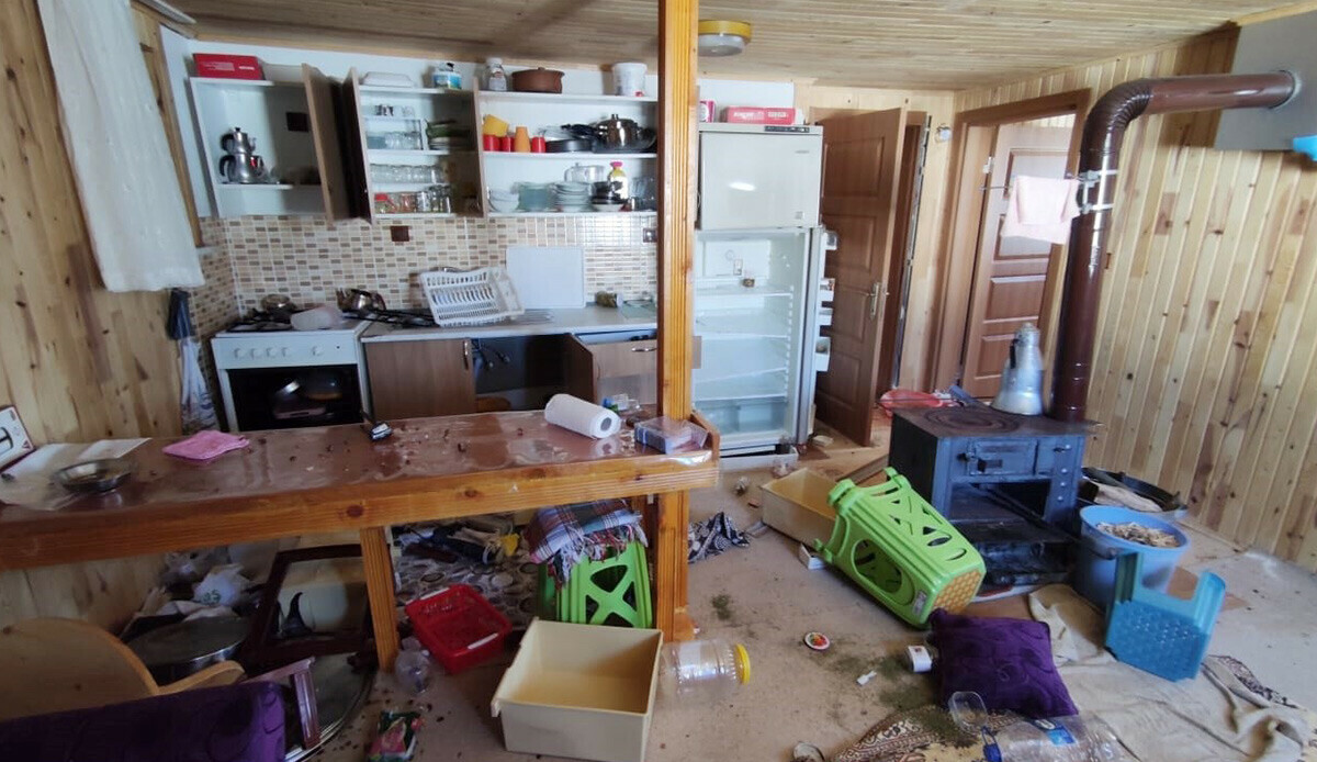 Bir yaylanın başı dertte, üstelik yalnız da değil! Zeytinyağı içti, fındık yedi... Girmedik ev bırakmadı