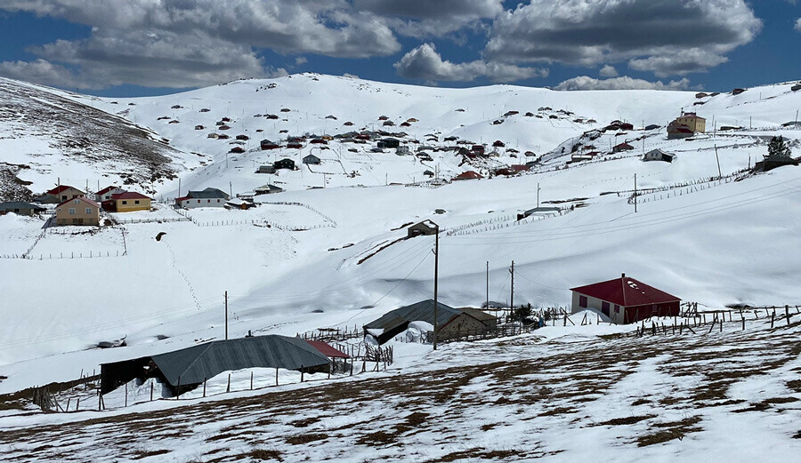 Bir yaylanın başı dertte, üstelik yalnız da değil! Zeytinyağı içti, fındık yedi... Girmedik ev bırakmadı
