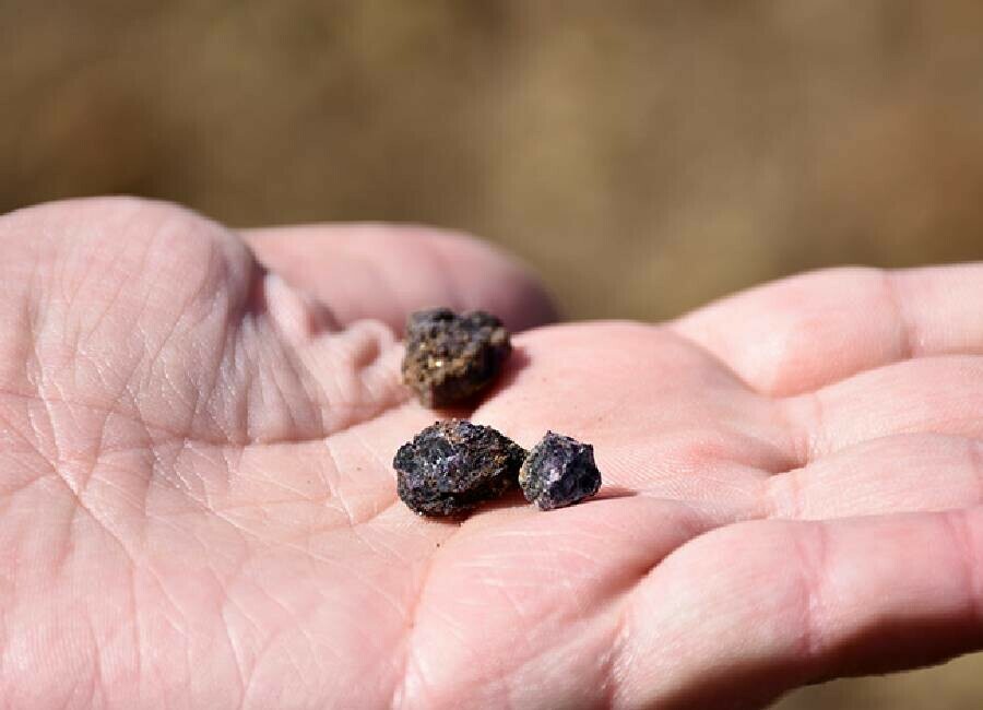 Nadir Toprak Elementi Tesisi bugün açılıyor