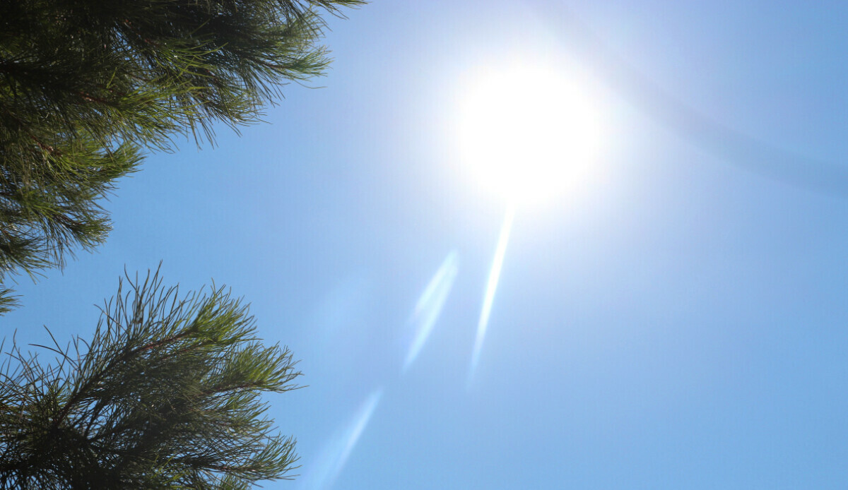 Yaz sıcağında klimaya alternatif arayanlar dikkat! Klima olmadan sağlıklı ve serin ortam sağlama yöntemleri