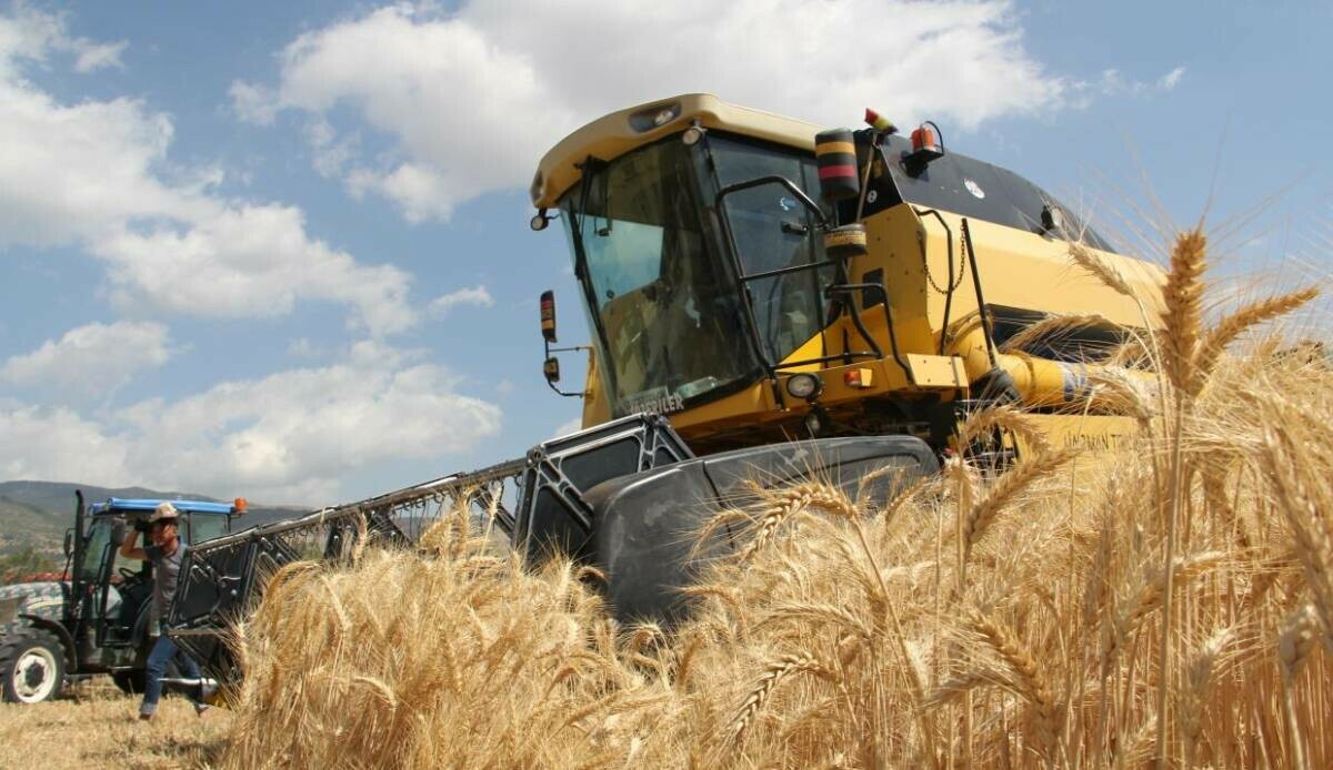 TÜİK, çiftçinin üretim maliyetlerini açıkladı: Tarım-GFE aylık yüzde 1,22 arttı TÜİK, çiftçinin üretim maliyetlerini açıkladı: Tarım-GFE aylık yüzde 1,22 arttı