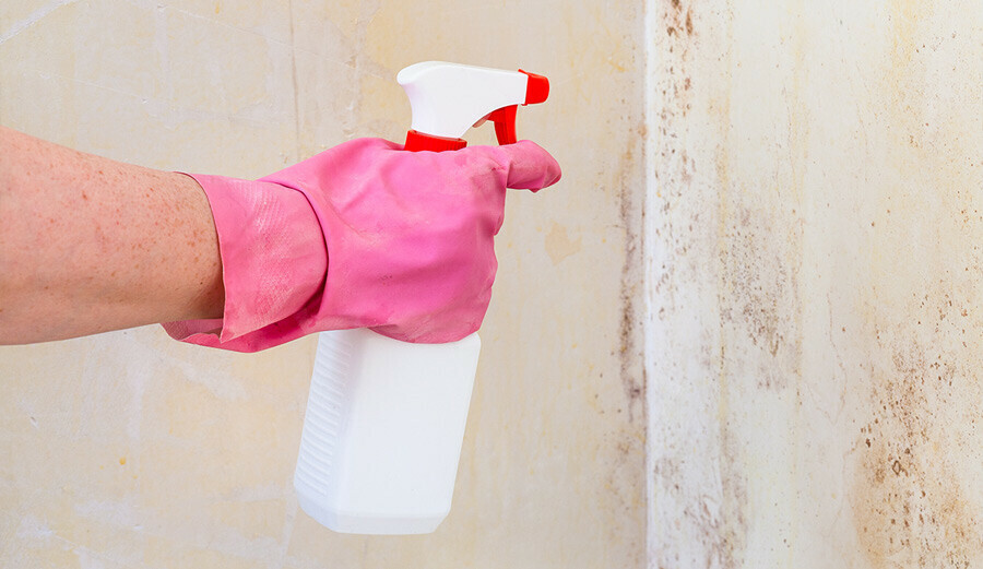 Küf derdini bitiriyor… Geri gelmesini önleyecek müthiş yöntem