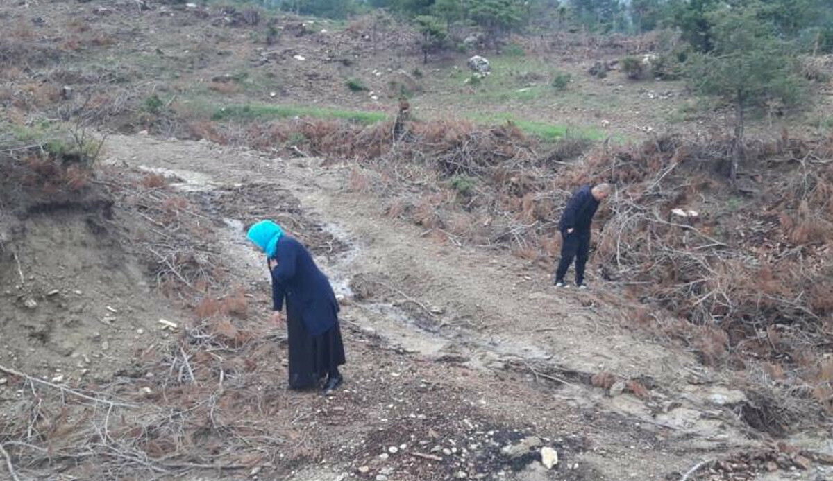 Yağmur yağdığını gören ormana koştu! Bulmak için yarışıyorlar, gören şifa deposunu kapıyor