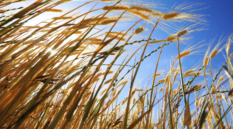 Rusya'dan dünyaya korkutan uyarı: Tarih uzatılmayabilir