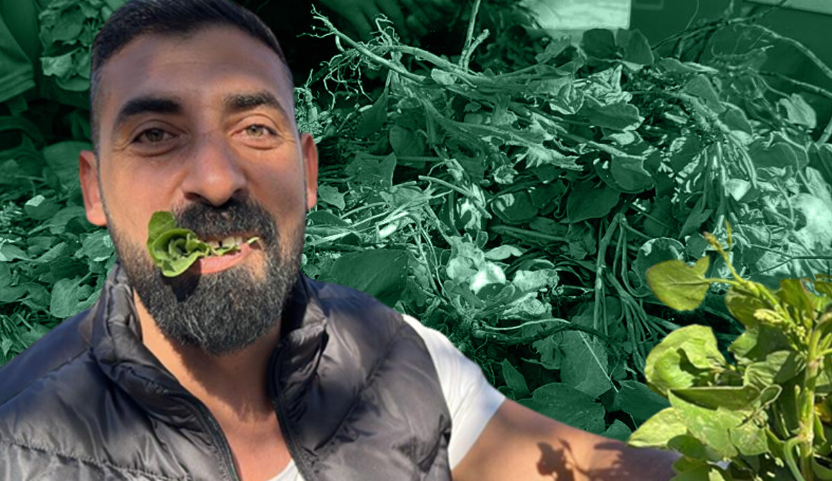 İbn-i Sina'nın önerisi… Bol bol yiyin, beyni tıkır tıkır çalıştırıyor