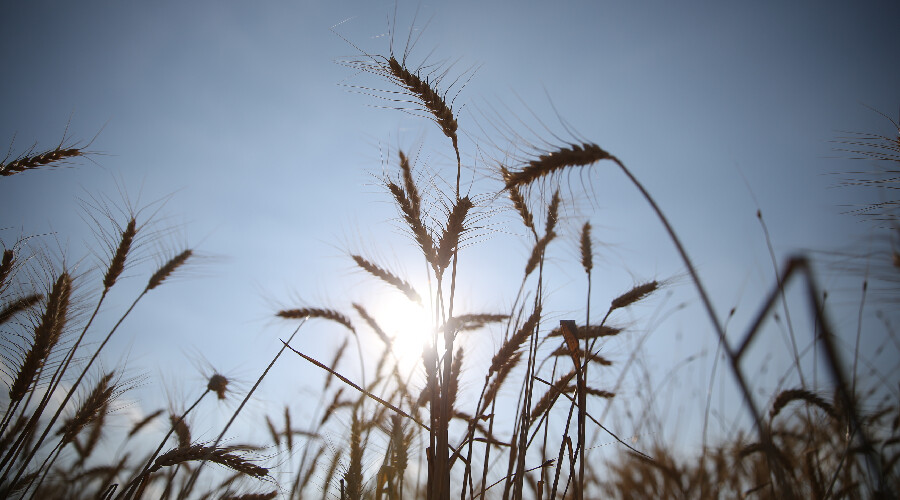 Dünyayı rahatlattı, Avrupa'yı rahatsız etti! AB içinde 