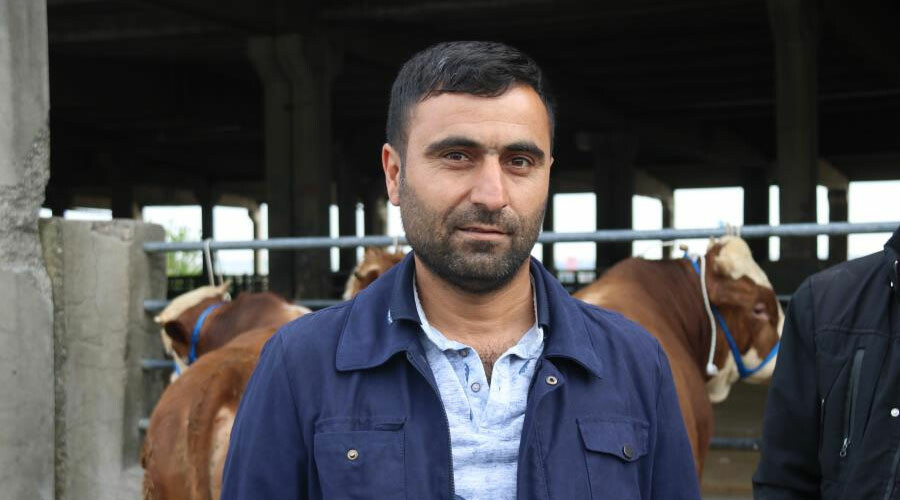 Canlı hayvan borsası açıldı, fiyatlar düşüşe geçti!
