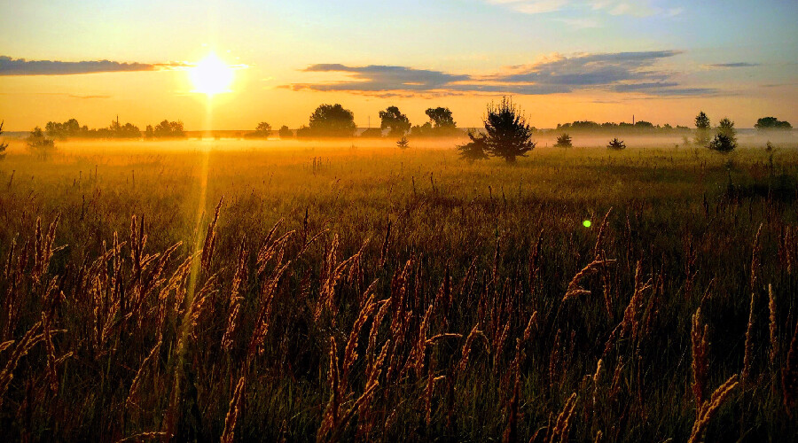 İspanya ve Portekiz kavruldu! Rekor sıcaklıklar İber Yarımadasını vurdu