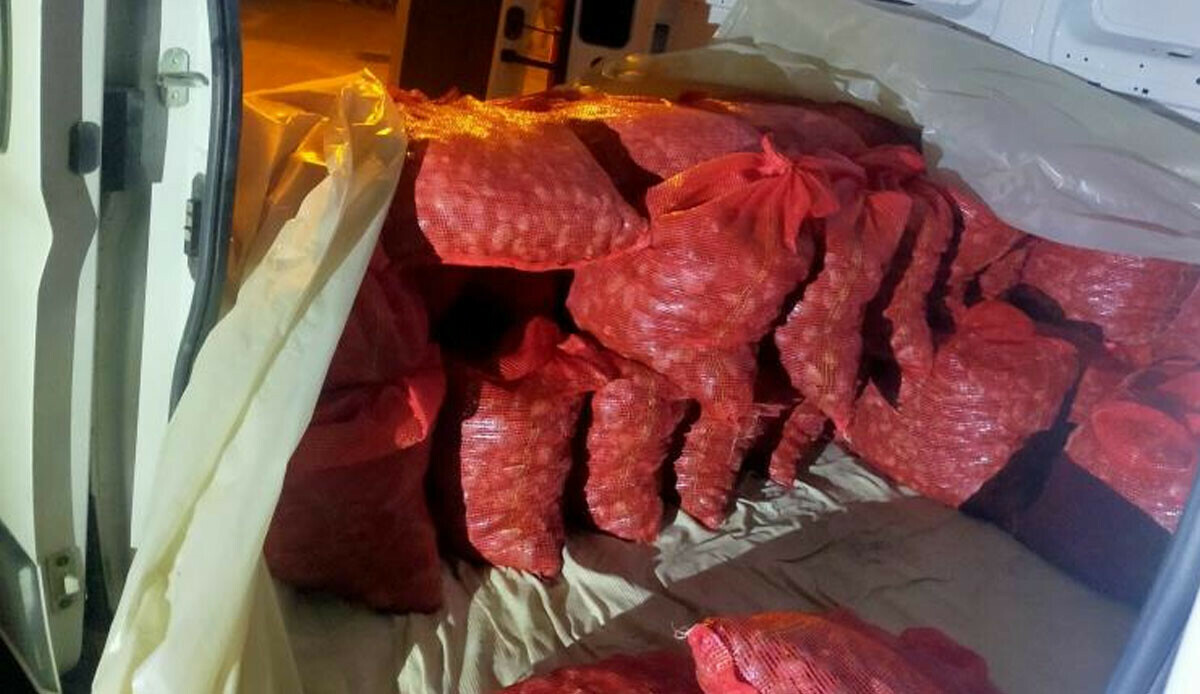 Çanakkale’de ele geçirildi: Değeri 2 milyon TL!