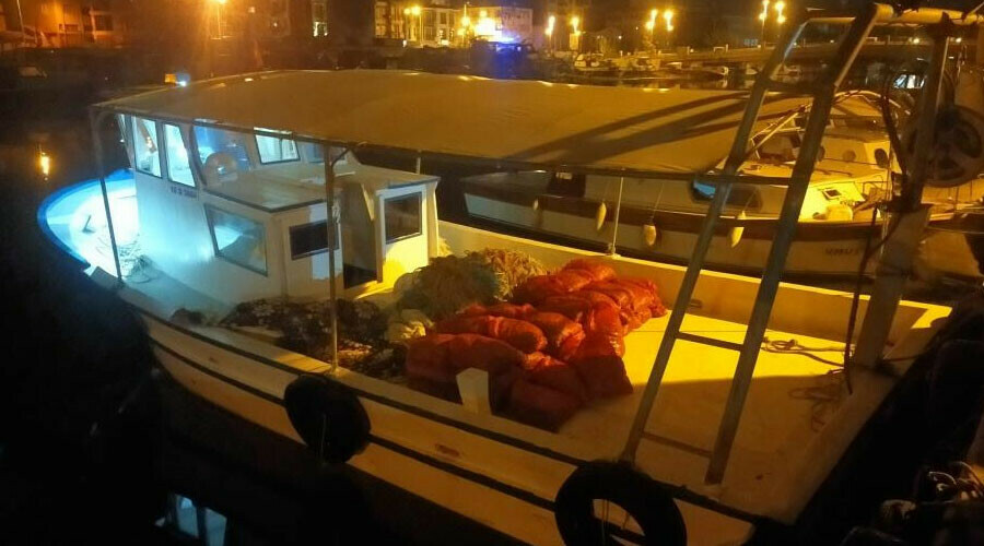 Çanakkale’de ele geçirildi: Değeri 2 milyon TL!