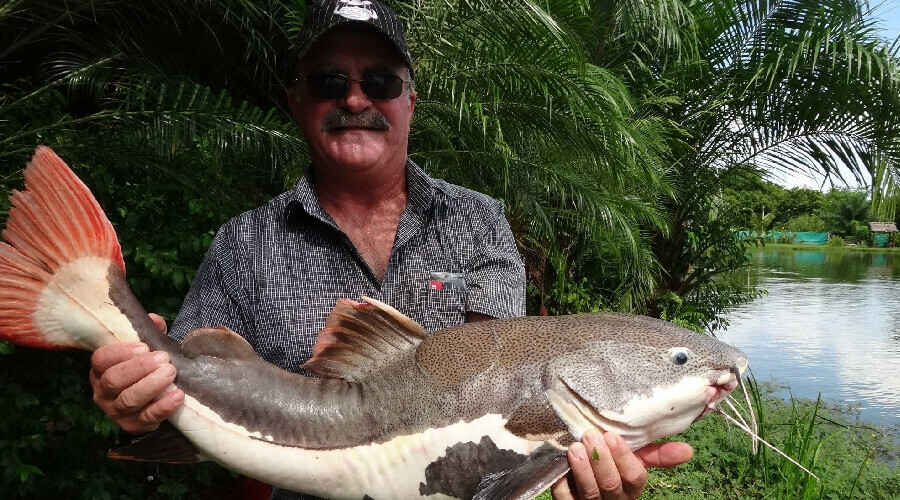 Balık tutmaya gitti, ortadan kayboldu! Kalıntıları timsahın midesinden çıktı