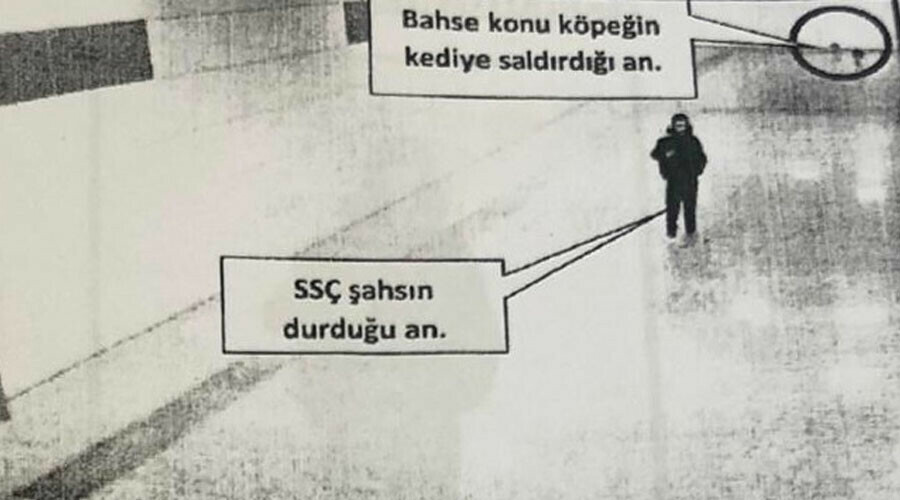 Kediyi köpeğe öldürten çocuğa anlamlı ceza: Her ay hayvan konulu kitap okuyacak Kediyi köpeğe öldürten çocuğa anlamlı ceza: Her ay hayvan konulu kitap okuyacak