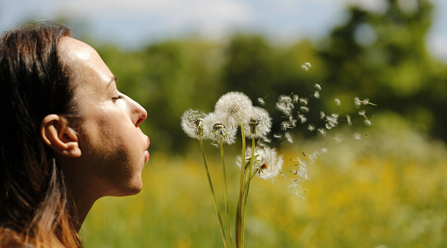 Bahar aylarını kabusa çeviren polen alerjisi çözümsüz değil! İşte saman nezlesinin doğal tedavi yöntemleri...