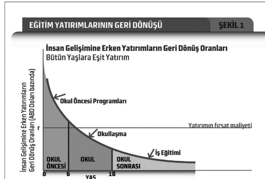 Devlet açtı, millet koştu: Türkiye'de 'okul öncesi' sıkıntısı tarih oldu Devlet açtı, millet koştu: Türkiye'de 'okul öncesi' sıkıntısı tarih oldu