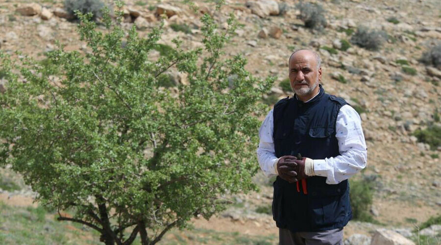 Rüyasında babasını gördü: Kendini doğaya adadı… Dağlık alanı ormana çevirdi! Rüyasında babasını gördü: Kendini doğaya adadı… Dağlık alanı ormana çevirdi!