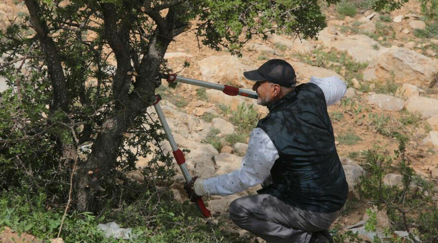 Rüyasında babasını gördü: Kendini doğaya adadı… Dağlık alanı ormana çevirdi! Rüyasında babasını gördü: Kendini doğaya adadı… Dağlık alanı ormana çevirdi!