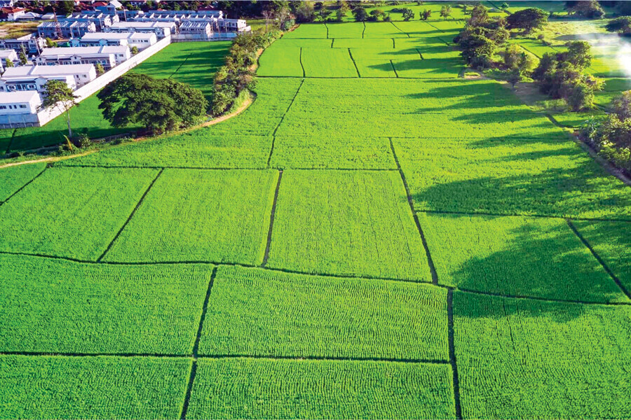 Arsaya akın var: Konut satışlarını solladı
