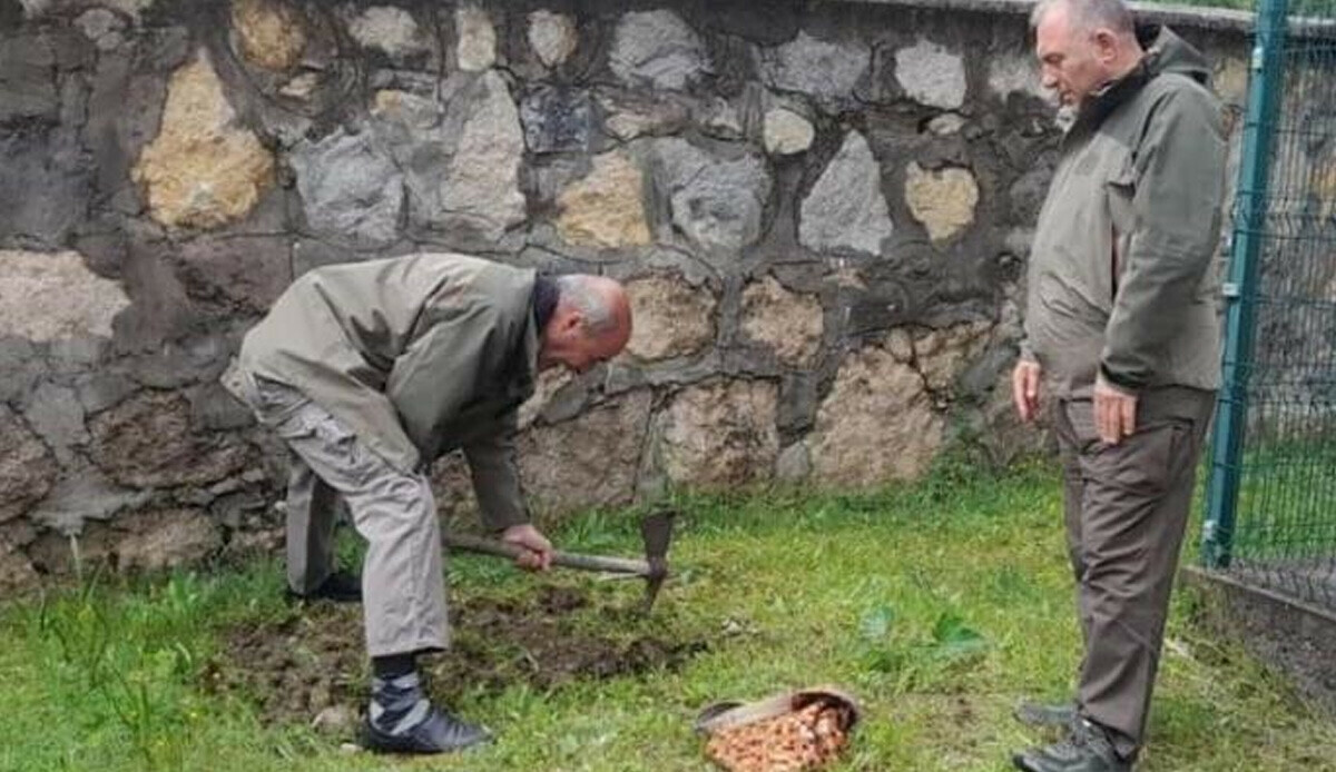 Topladıkları salep soğanı pahalıya patladı: 220 bin lira ceza Topladıkları salep soğanı pahalıya patladı: 220 bin lira ceza