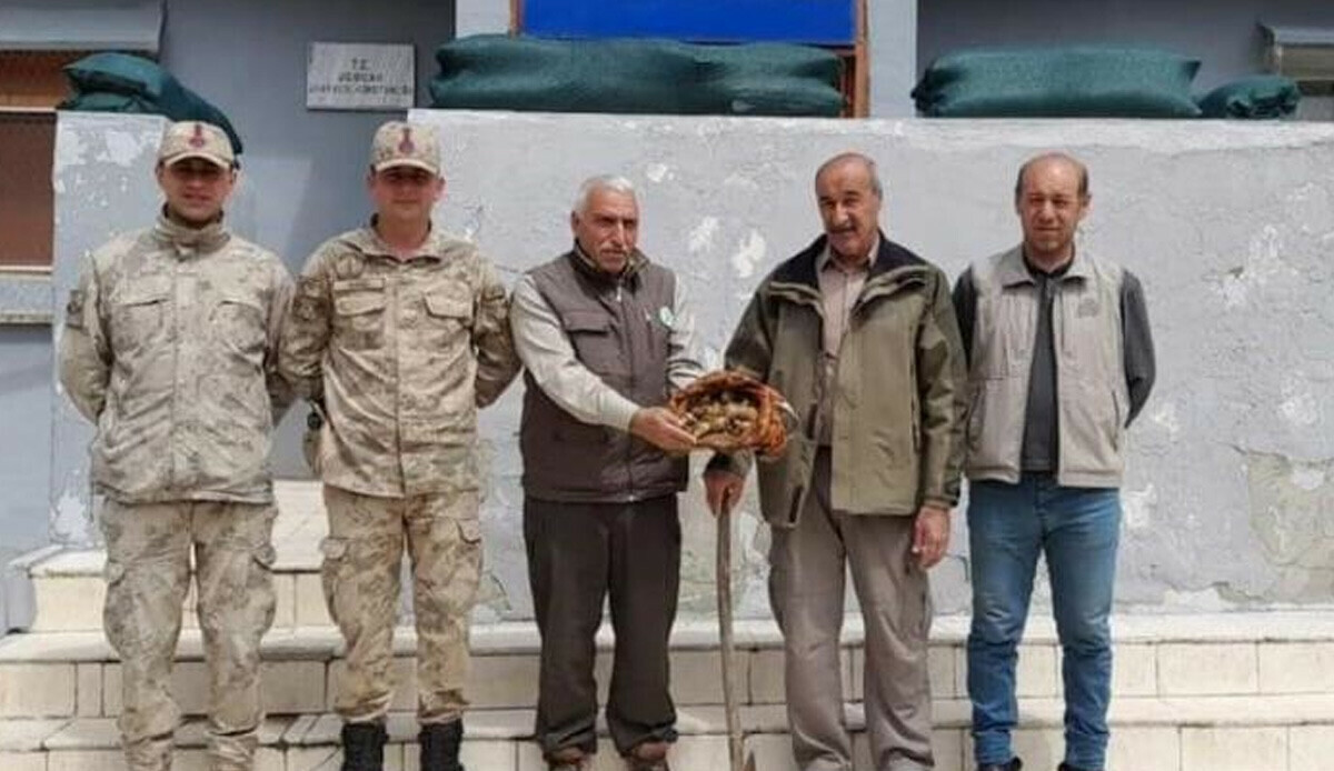 Topladıkları salep soğanı pahalıya patladı: 220 bin lira ceza Topladıkları salep soğanı pahalıya patladı: 220 bin lira ceza
