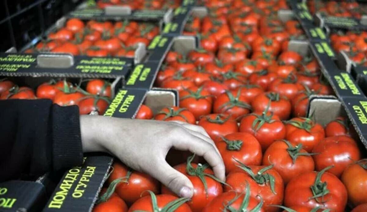 En büyük müşteri Rusya, ihracat 235 milyon doları aştı En büyük müşteri Rusya, ihracat 235 milyon doları aştı