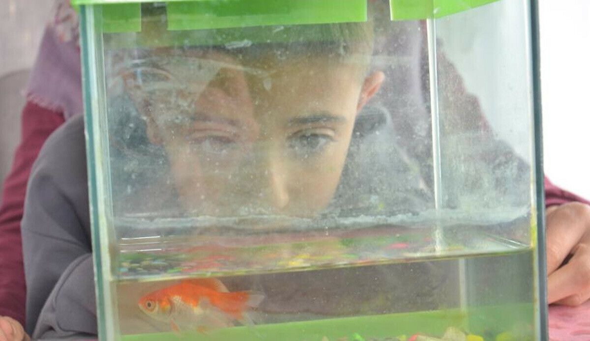 Depremden 100 gün sonra şaşırtan olay! Canlı halde buldular Depremden 100 gün sonra şaşırtan olay! Canlı halde buldular