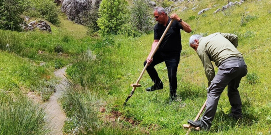 Topladıkları bitki başlarına bela oldu: 1 milyon 464 bin lira ceza ödeyecekler