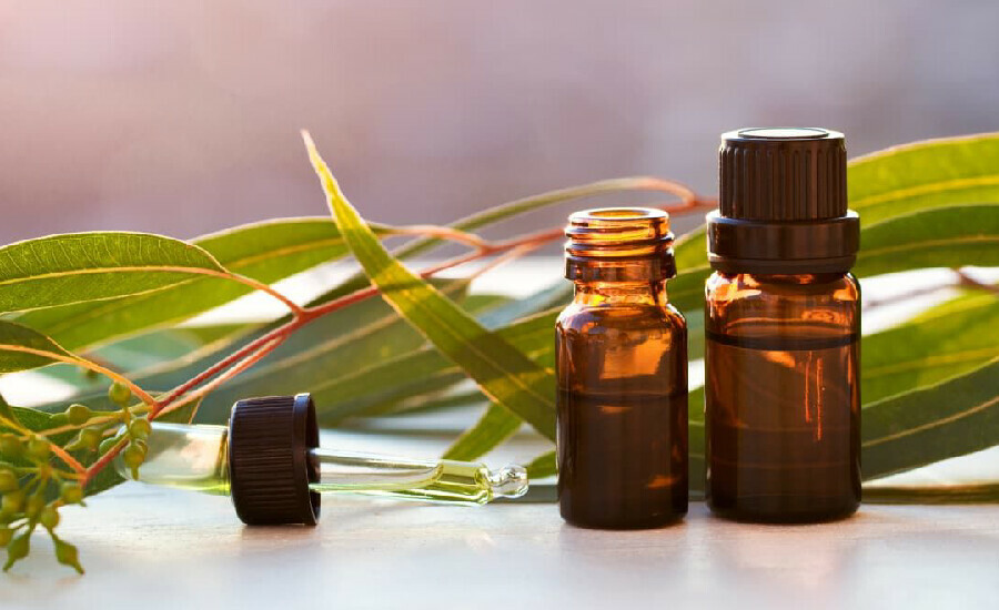 Sadece 5 dakikada hazırlanan sivrisinek kovucu! Üstelik kimyasal içermiyor