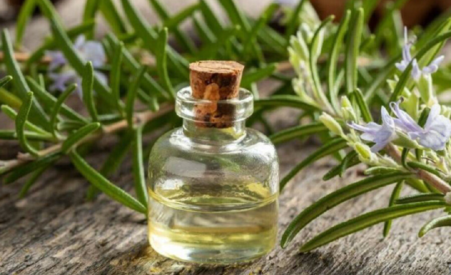 Sadece 5 dakikada hazırlanan sivrisinek kovucu! Üstelik kimyasal içermiyor