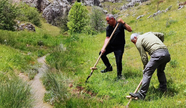 Topladıkları bitki başlarına bela oldu: 1 milyon 464 bin lira ceza ödeyecekler Topladıkları bitki başlarına bela oldu: 1 milyon 464 bin lira ceza ödeyecekler