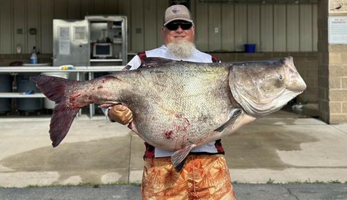 Yakaladığı balıkla rekor kırdı, üstelik çevre felaketini önledi: Yumurtlasaydı felaket olurdu